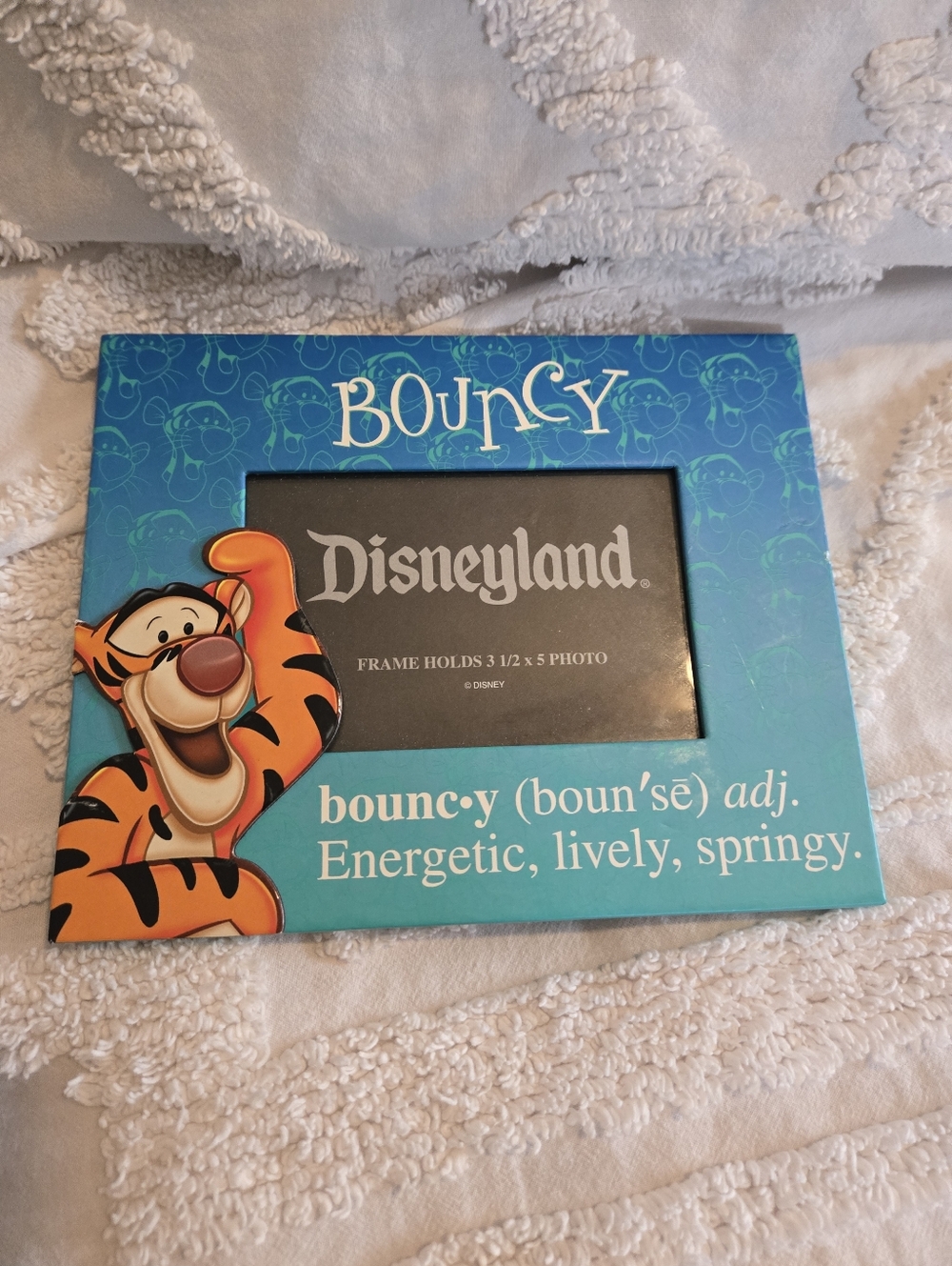 Disneyland Disney Teal & Blue Tigger Bouncy Picture Frame Holds 3 1/2 x 5 Photo - Picture 9 of 9